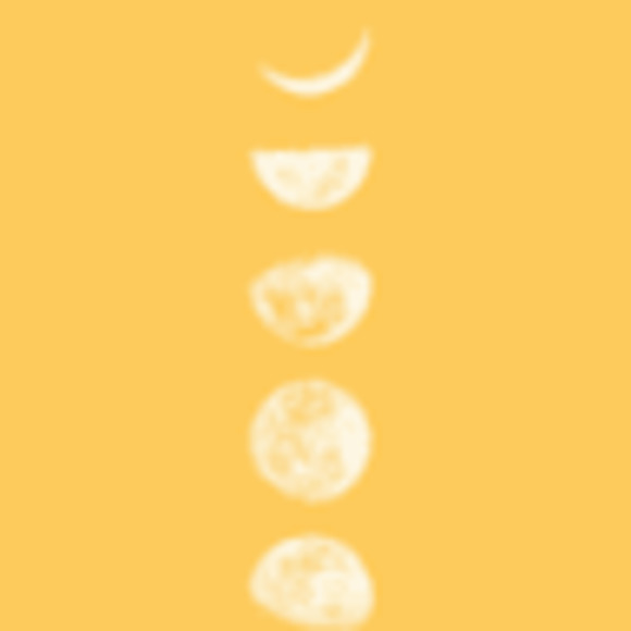 Meet your Posher, Katey - Picture 1 of 1